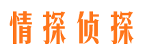 湘西市侦探公司